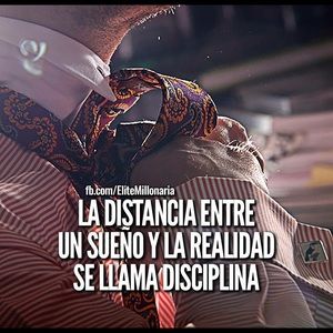 Meet your Posher, Hector